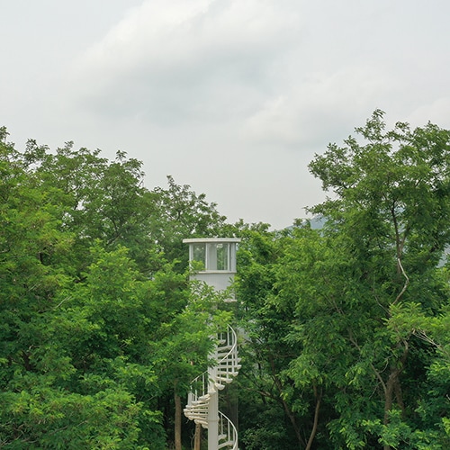 the observation tower