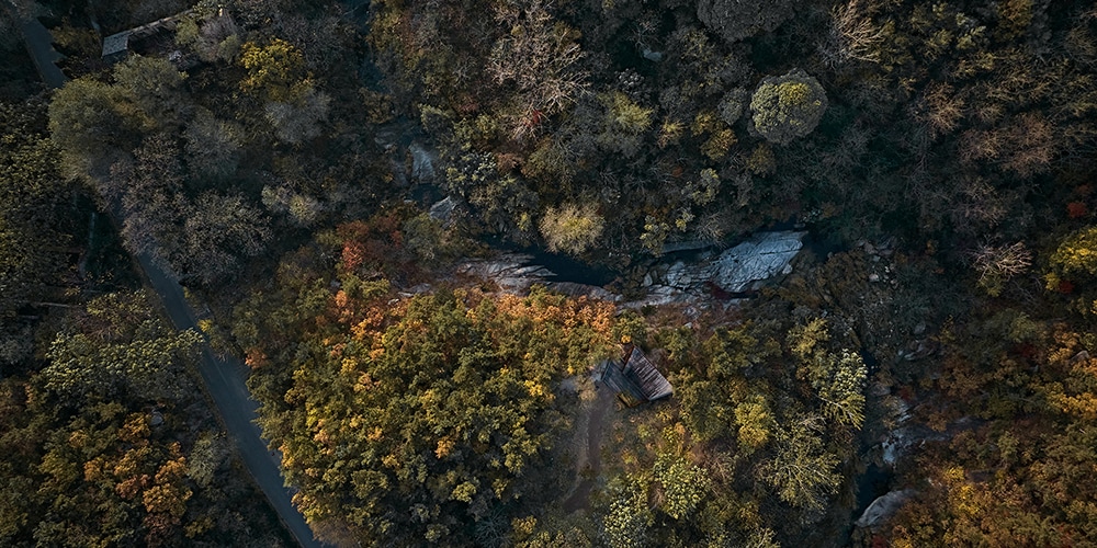 The Cliff Overlook and the Creek Overlook